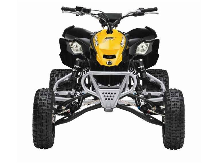2015 Can-Am DS 450® X® mx in Huron, Ohio - Photo 9