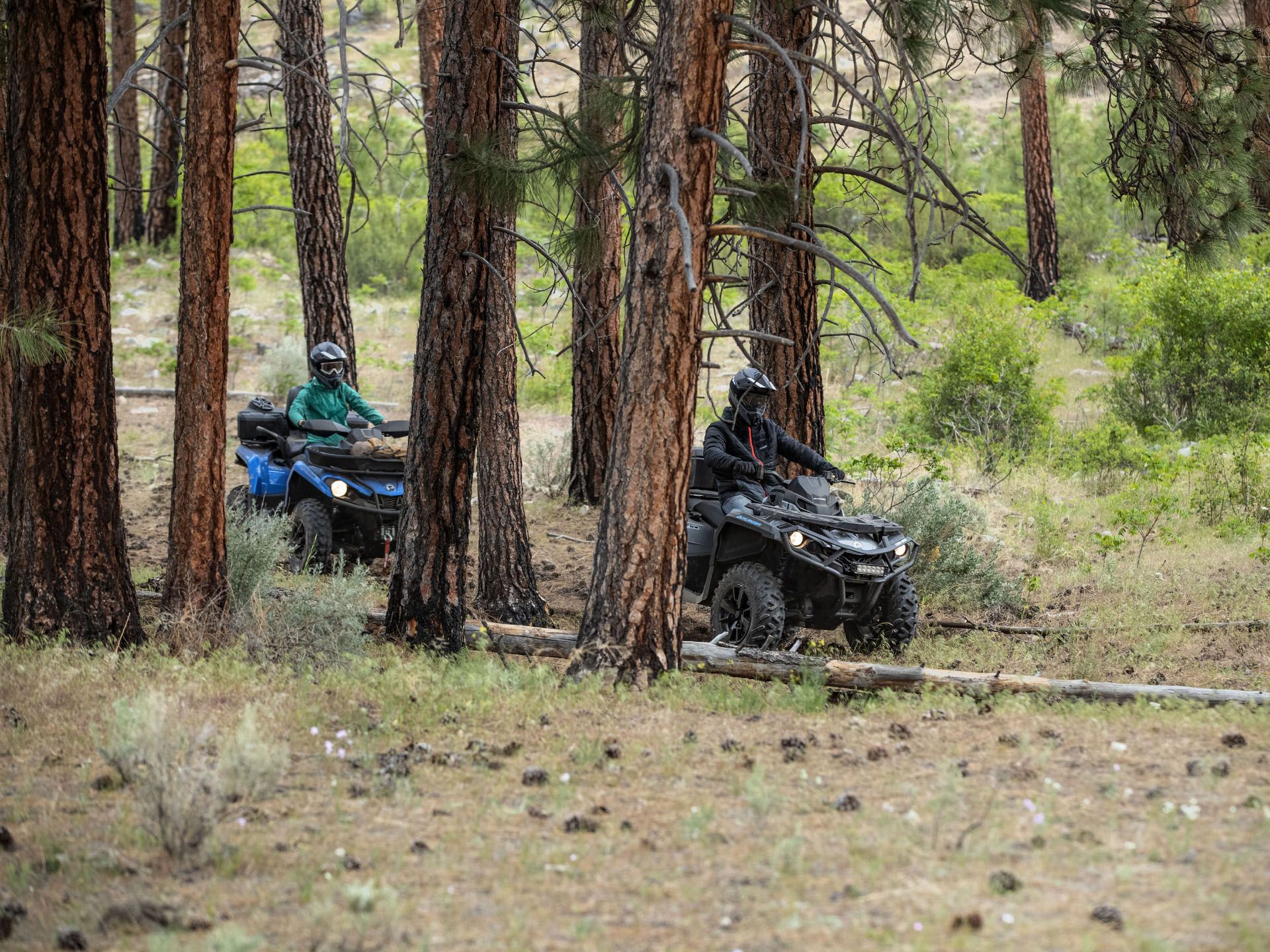 2022 Can-Am Outlander DPS 850 in Columbia, Missouri - Photo 2