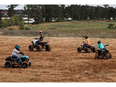 2024 Can-Am Renegade 70 EFI in Santa Maria, California - Photo 4