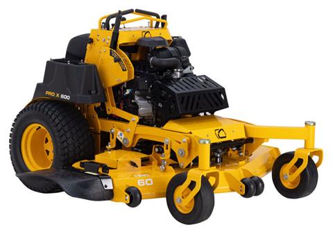 GRAY CUB 2020 116cm キャンバー GRAY CUB 2020 116cm キャンバー グレイ カブ エックス GRAY CUB-X