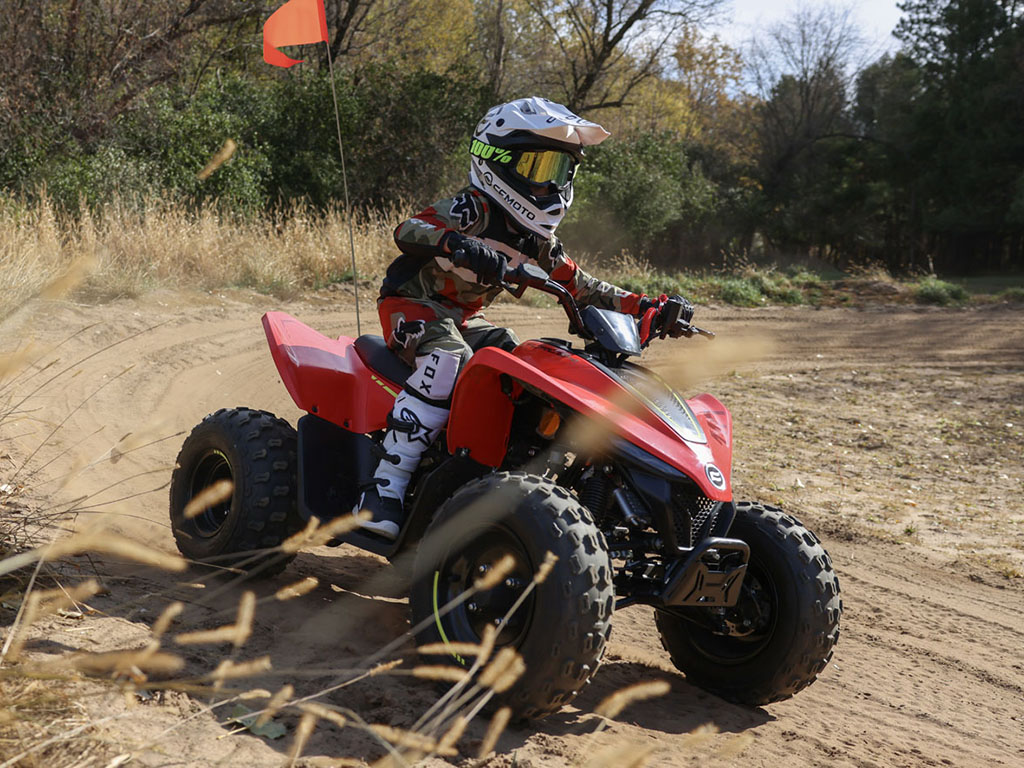 2024 CFMOTO CForce 110 in Saint Maries, Idaho - Photo 6