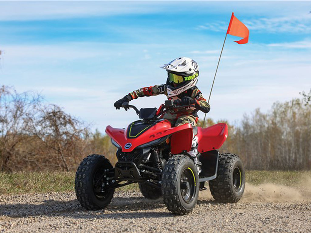 2024 CFMOTO CForce 110 in Saint Maries, Idaho - Photo 9