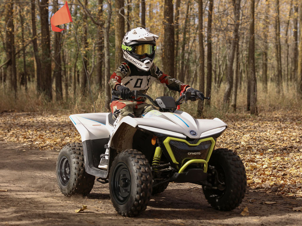 2024 CFMOTO CForce EV110 in Fairview, Utah - Photo 6