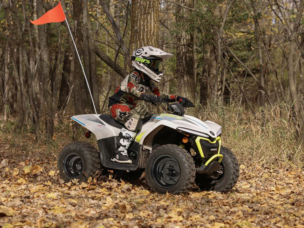 2024 CFMOTO CForce EV110 in Fairview, Utah - Photo 10
