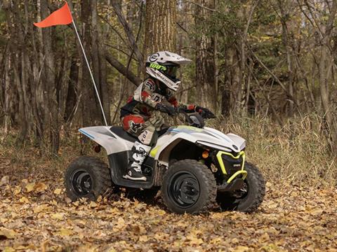 2024 CFMOTO CForce EV110 in Fairview, Utah - Photo 10