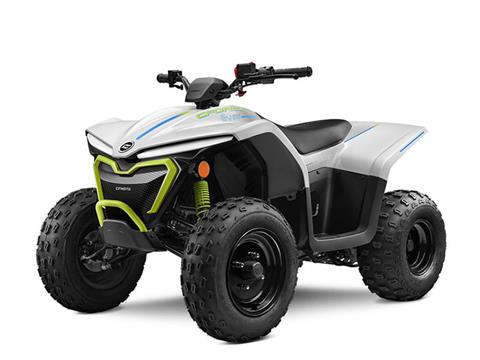 2024 CFMOTO CForce EV110
