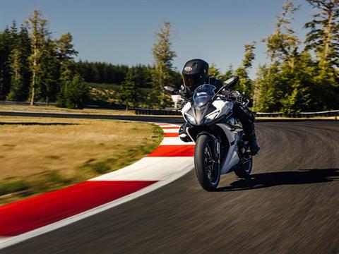 2024 CFMOTO 300SS in Indianapolis, Indiana - Photo 5
