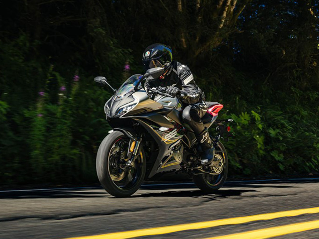 2024 CFMOTO 300SS in Indianapolis, Indiana - Photo 8