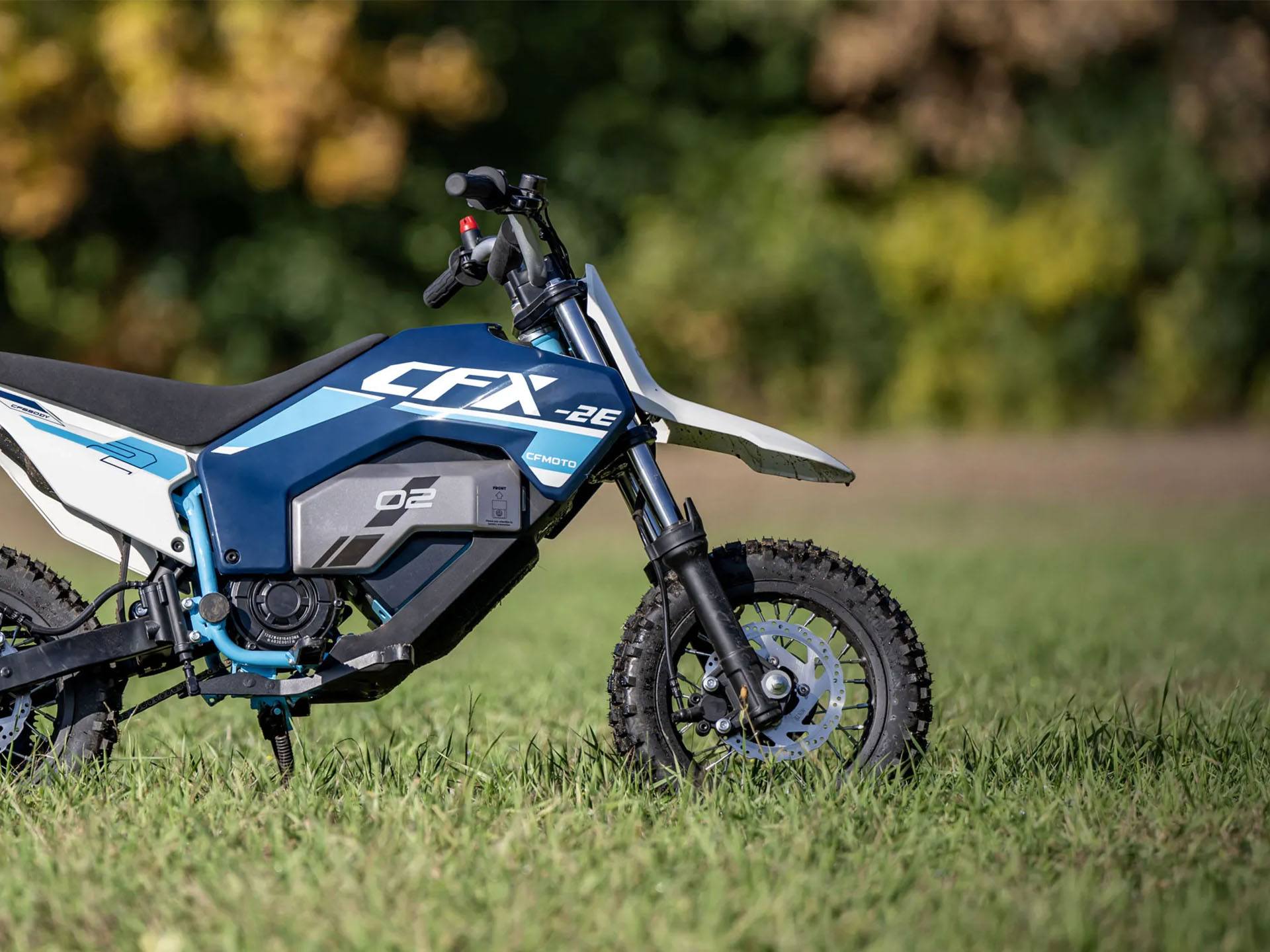 2024 CFMOTO CFX-2E in Indianapolis, Indiana - Photo 9
