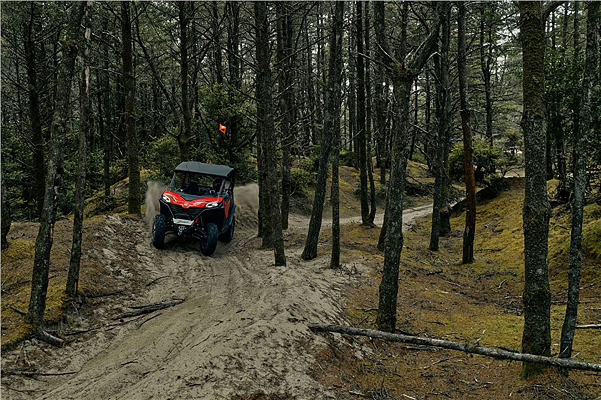 2024 CFMOTO ZForce 950 Trail in Marietta, Ohio - Photo 6