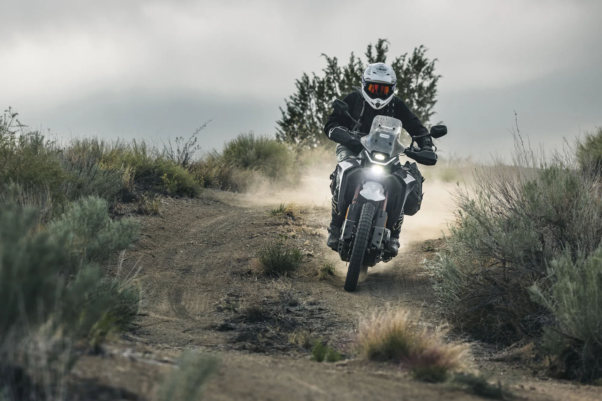 New 2027 CFMOTO Ibex 450 Nebula Black | Motorcycles in Crossville TN |