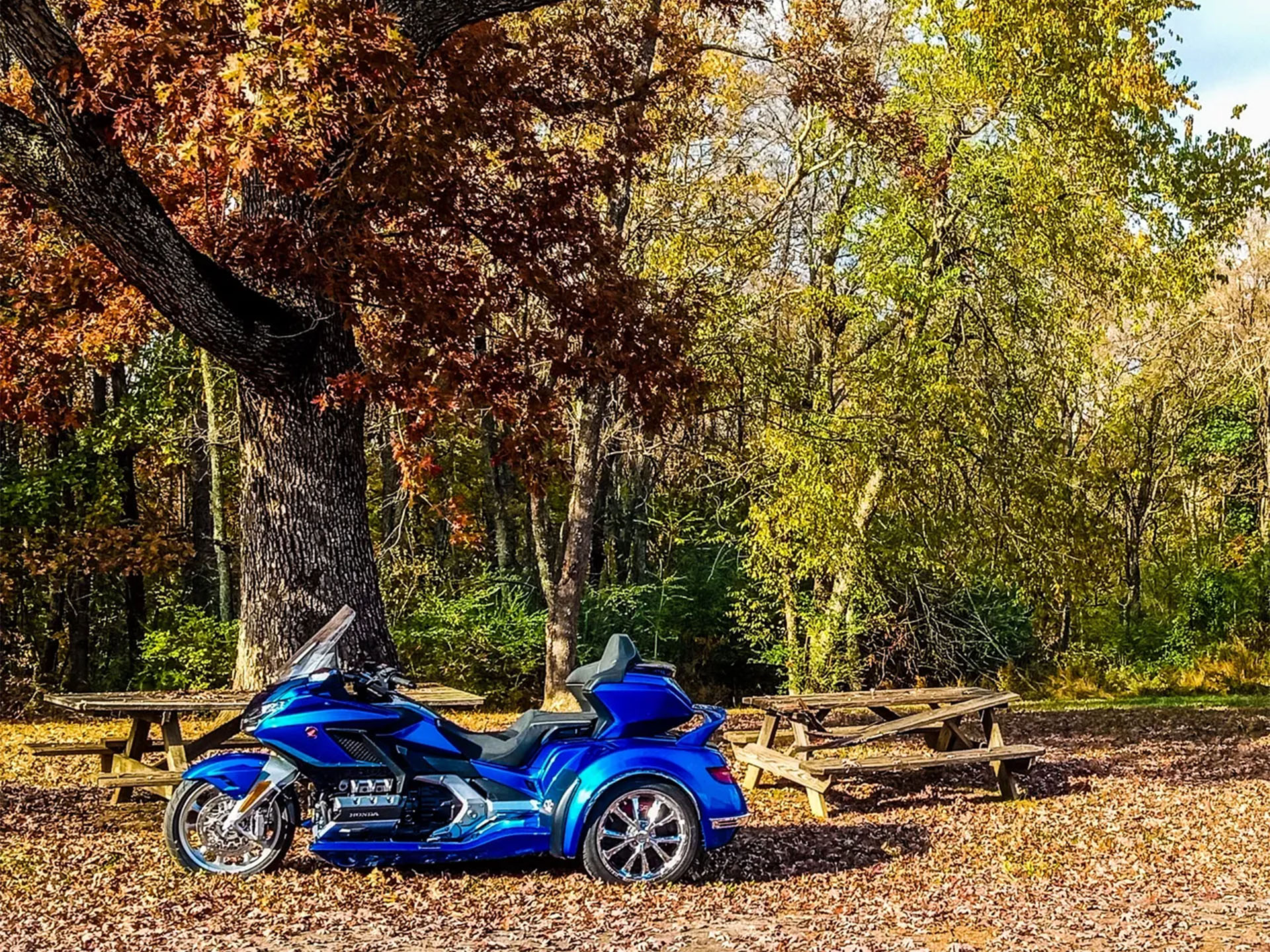 New 2025 California Sidecar Encore, Jefferson City MO | Specs