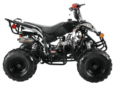 2024 Coolster ATV-3050B in San Antonio, Texas - Photo 2