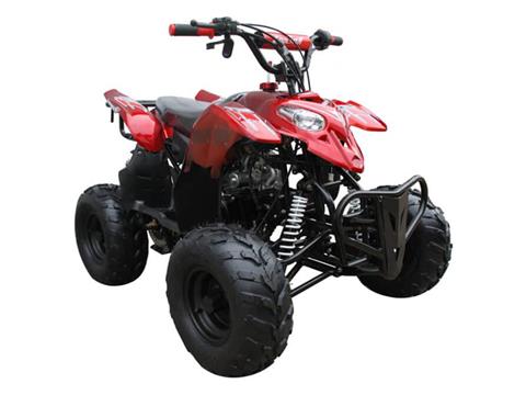 2024 Coolster ATV-3050B in San Antonio, Texas - Photo 2