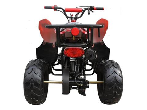 2024 Coolster ATV-3050B in San Antonio, Texas - Photo 4