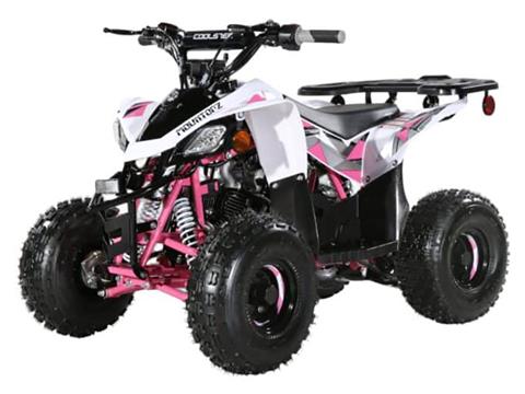 2024 Coolster ATV-3050B2