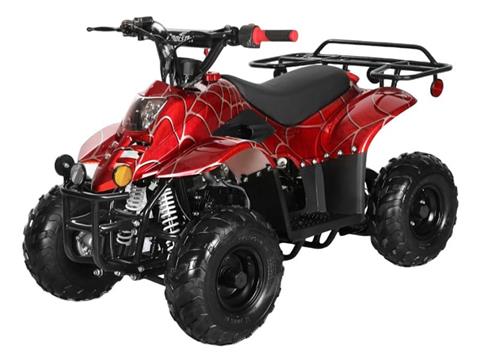 2024 Coolster ATV-3050C