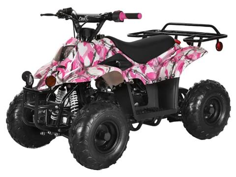 2024 Coolster ATV-3050C