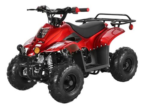 2024 Coolster ATV-3050C