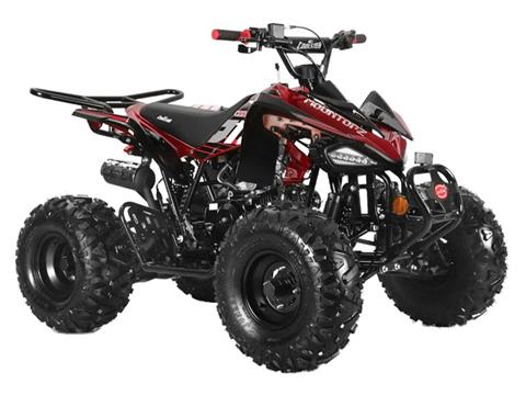 2024 Coolster ATV-3125CX-2 in San Antonio, Texas - Photo 2