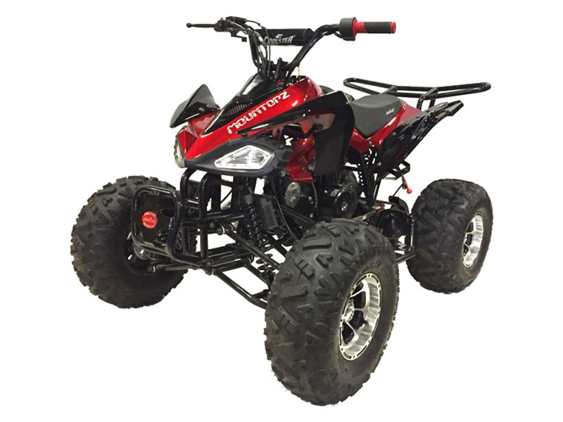 2024 Coolster ATV-3125CX-3 in San Antonio, Texas - Photo 1