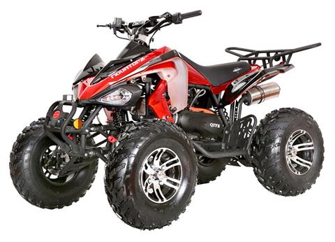 2024 Coolster ATV-3200S