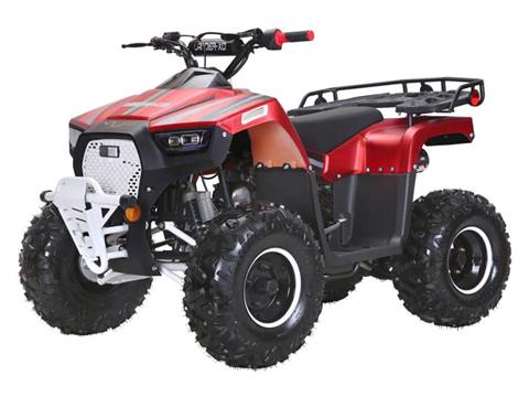 2024 Coolster Lander-XD 125UF