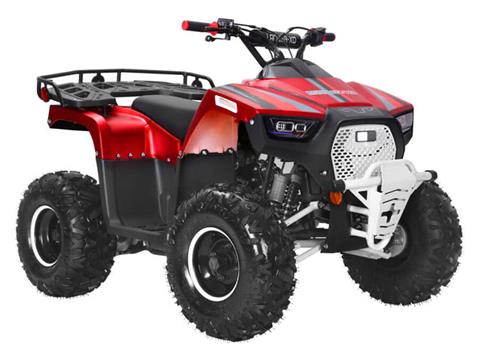 2024 Coolster Lander-XD 125UF in San Antonio, Texas - Photo 2