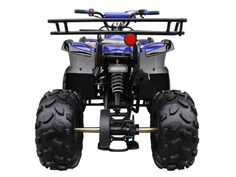 2024 Coolster ATV-3125XR8-U2 in San Antonio, Texas - Photo 4