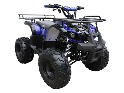 2024 Coolster ATV-3125XR8-US in San Antonio, Texas - Photo 2