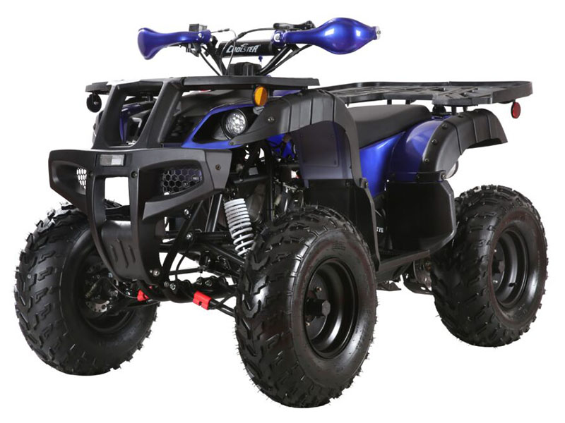 2024 Coolster ATV-3150DX-4 in San Antonio, Texas - Photo 1