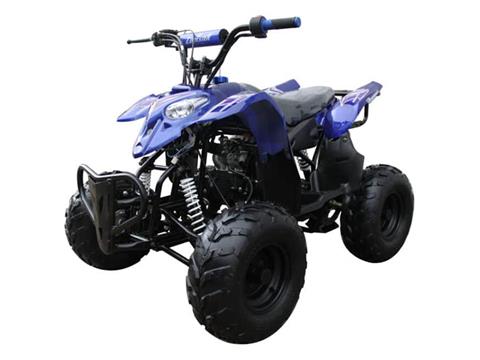 2025 Coolster ATV-3050B in Virginia Beach, Virginia - Photo 1