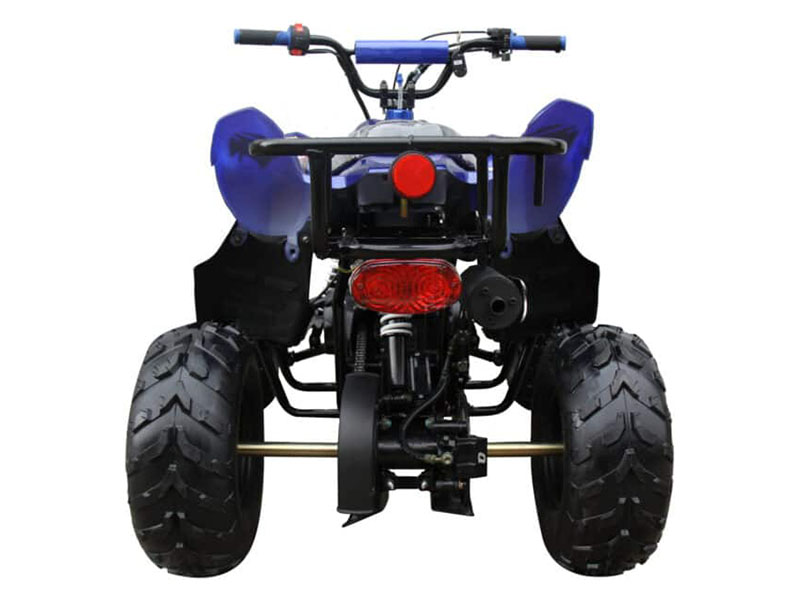 2025 Coolster ATV-3050B in Virginia Beach, Virginia - Photo 4