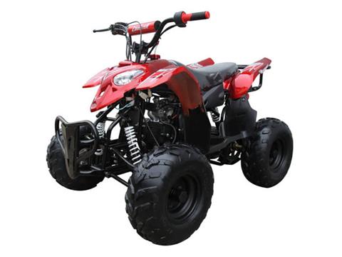 2025 Coolster ATV-3050B in Virginia Beach, Virginia - Photo 1