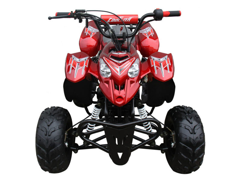 2025 Coolster ATV-3050B in Virginia Beach, Virginia - Photo 3