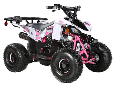 2025 Coolster ATV-3050B2 in Virginia Beach, Virginia - Photo 2