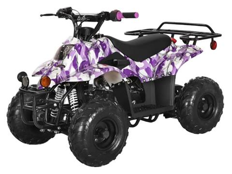 2025 Coolster ATV-3050C in Virginia Beach, Virginia - Photo 1