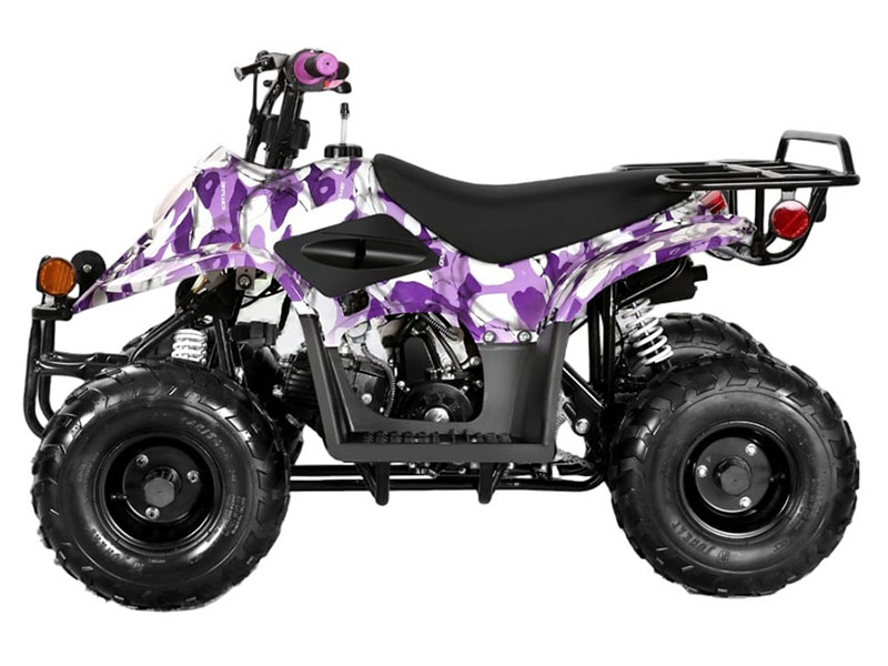 2025 Coolster ATV-3050C in Virginia Beach, Virginia - Photo 2