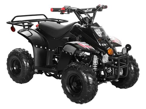 2025 Coolster ATV-3050C in Virginia Beach, Virginia - Photo 2