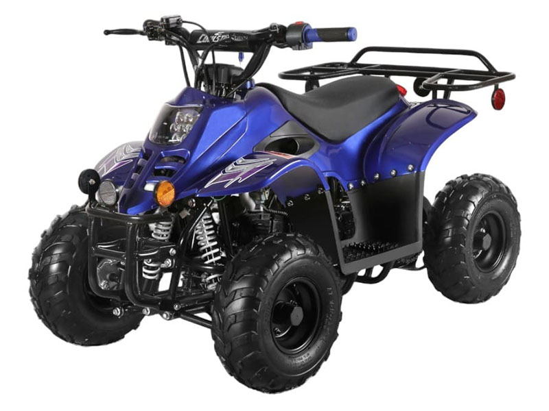 2025 Coolster ATV-3050C in Virginia Beach, Virginia - Photo 1