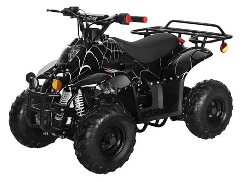 2025 Coolster ATV-3050C in Virginia Beach, Virginia - Photo 1