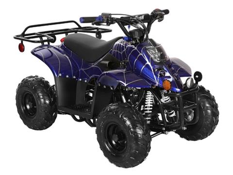 2025 Coolster ATV-3050C in Virginia Beach, Virginia - Photo 2