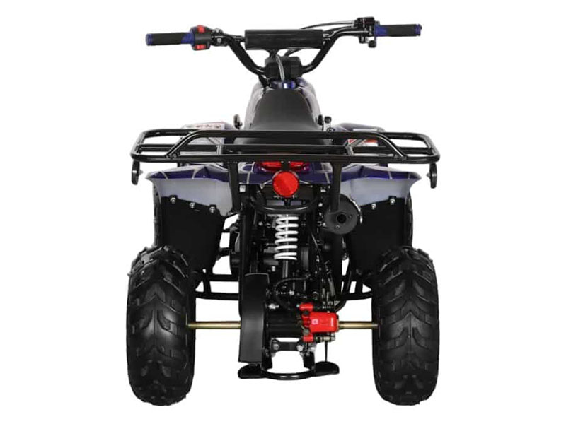 2025 Coolster ATV-3050C in Virginia Beach, Virginia - Photo 4