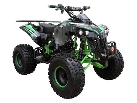 2025 Coolster ATV-3125B2 in Virginia Beach, Virginia - Photo 2