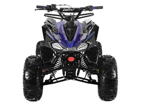 2025 Coolster ATV-3125CX-2 in Virginia Beach, Virginia - Photo 3