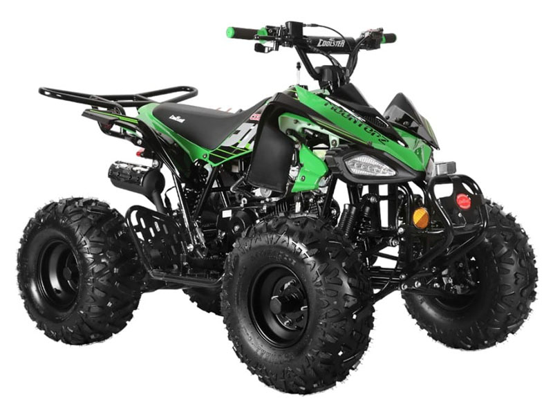 2025 Coolster ATV-3125CX-2 in Virginia Beach, Virginia - Photo 2