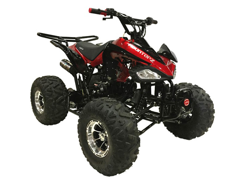 2025 Coolster ATV-3125CX-3 in Virginia Beach, Virginia - Photo 2