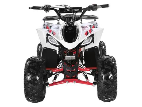 2025 Coolster ATV-3125R2 in Virginia Beach, Virginia - Photo 3