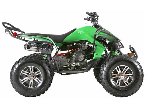 2025 Coolster ATV-3150CXC in Virginia Beach, Virginia - Photo 2