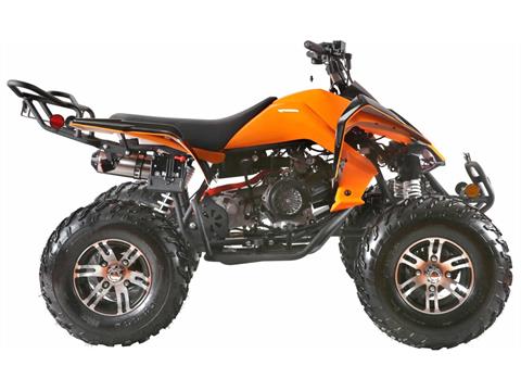 2025 Coolster ATV-3150CXC in Virginia Beach, Virginia - Photo 2